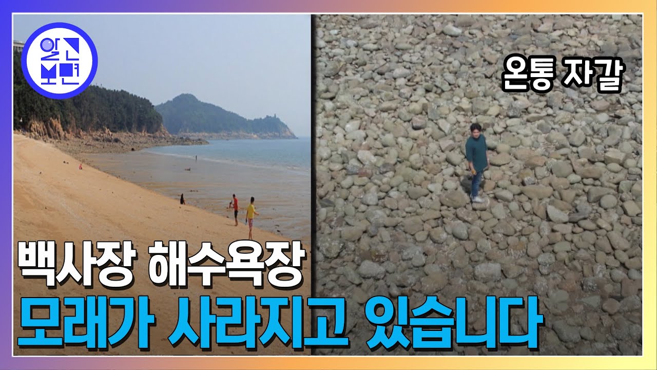 점점 자갈밭으로.. 왕산해수욕장 대체 왜?