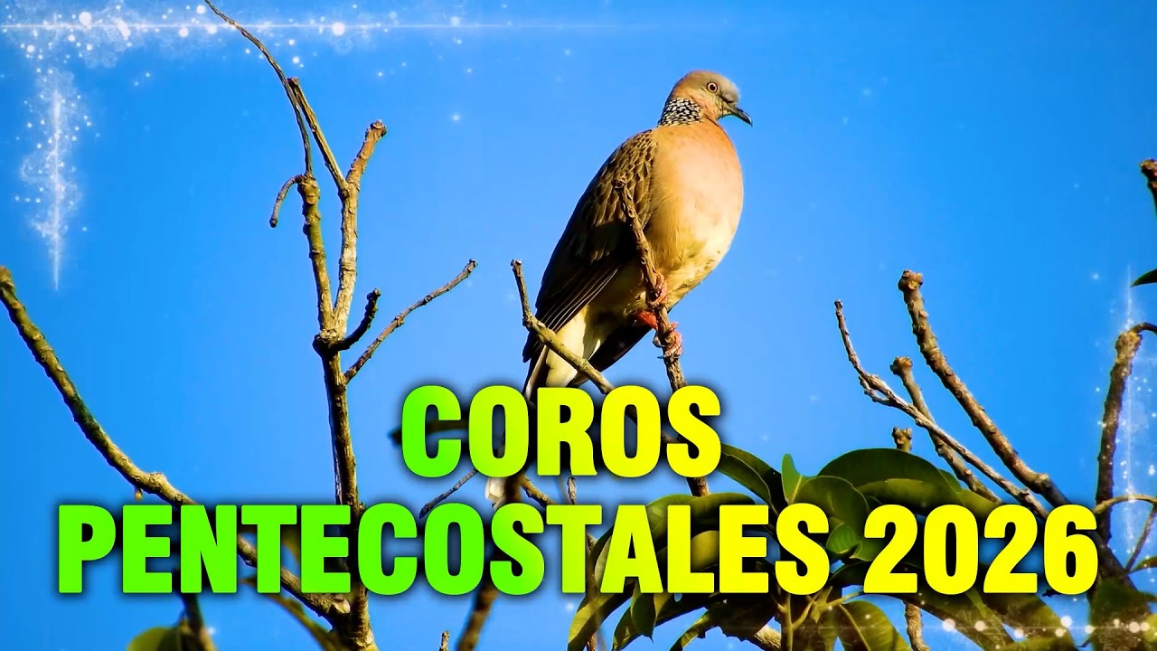 COROS PENTECOSTALES VIEJITOS PERO MUY BONITOS - GRACIAS POR LLEGAR A MI VIDA