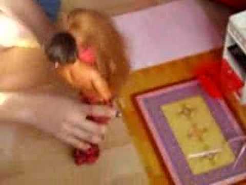 Barbie et le mécanicien