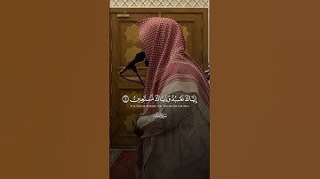 سورة الفاتحة بأداء حجازي بديع! - للشيخ #ماجد_الحازمي 🤍🎧.. #اكسبلور #المصحف #لايك #الرحمن #تيك_توك