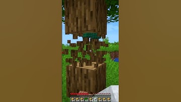 Minecraft, But Block Drops Are Random!!!
