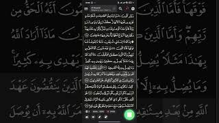 Q.S. Albaqarah 25-29
