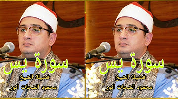 سورة يس فضيلة الشيخ محمود الشحات أنور