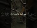 ف ق ل ت اس ت غ ف ر وا ر ب ك م إ ن ه ك ان غ ف ار ا 10 نوح ياسر الدوسري ف ق ل ت اس ت غ ف ر وا ر ب ك م إ ن ه ك ان غ ف ار ا 10 نوح ياسر الدوسري