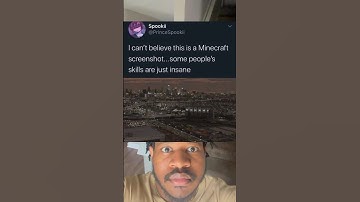 The Most Realistic Minecraft Mod