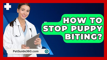 How To Stop Puppy Biting? - PetGuide360.com