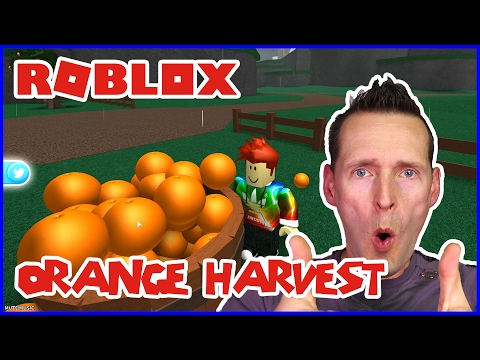 Biggest Orange Ever Largest Orange Ever Harvested Roblox - building my treehouse in treelands roblox youtube