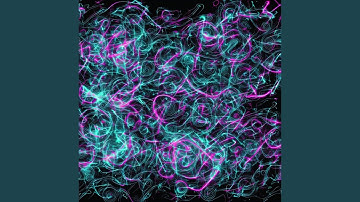 Convolutional Neural Network