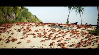 Crab Rave (Jiafei Remix) (shitpost)