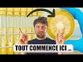 🍄 MYCOTHÈQUE &amp; GÉLOSE, Je LANCE la PRODUCTION de ma NOUVELLE FERME !