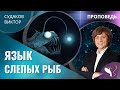 Виктор Судаков - Язык слепых рыб