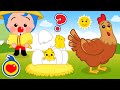 Galinhazinha ¡Pôs Mais Ovos! - Música Infantil - Canções para Crianças  ♫ Um Herói do Coração