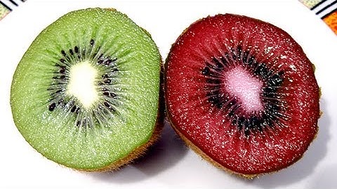 Tutorial Photoshop CS6 - How to replace the color of an object