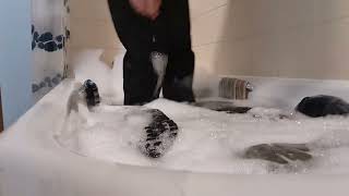 Wet Messy Bubble Bath Foot Play Wet Nike Air Max Clic Tease Used Smelly Dirty Trashed