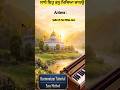 Sadho Eh Tan Mithya Jaano 🎹 | Raag Basant Hindol | Harmonium #shorts
