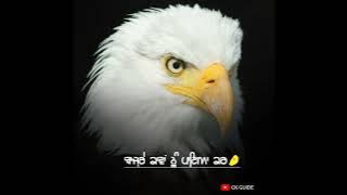 ਅੱਗ Punjabi Attitude 🔥 🔐 badmashi Wale status | new Punjabi status #Badmashi #Shayari