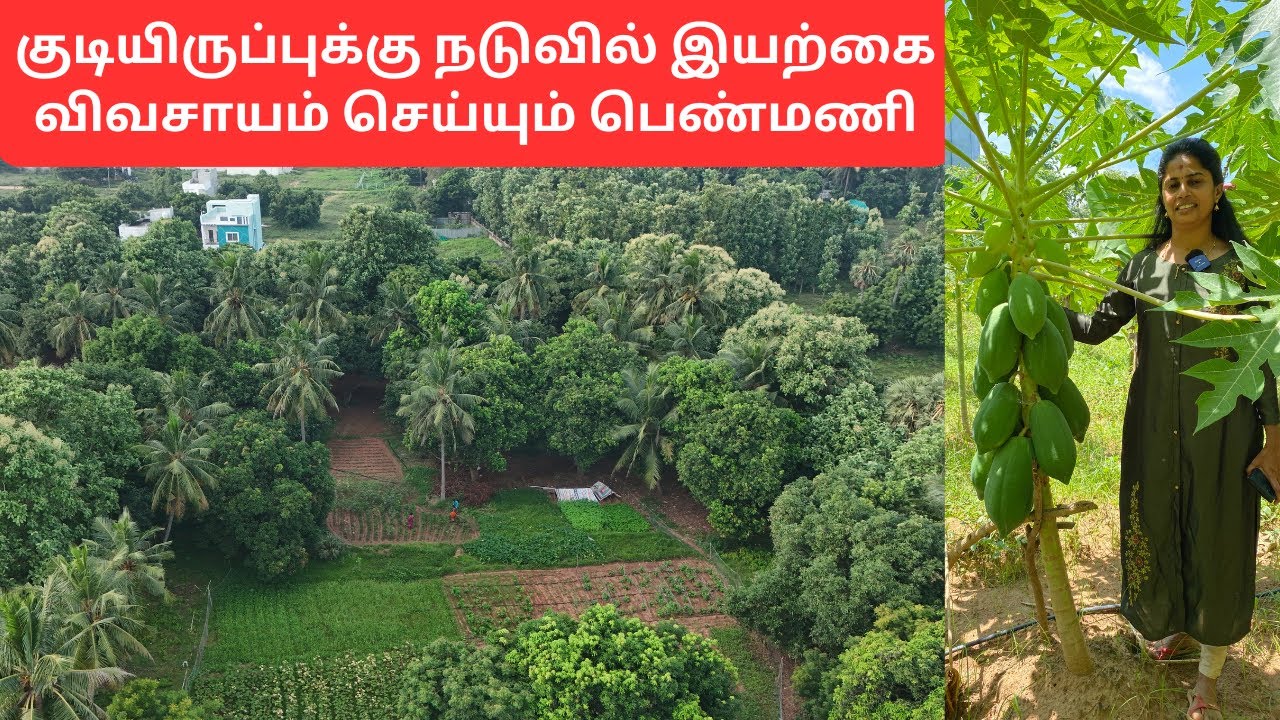 Organic fruits and vegetable farming in 8 acres