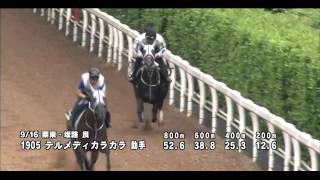 テルメディカラカラ の競走馬情報 Pog Info テルメディカラカラ の競走馬情報 Pog Info