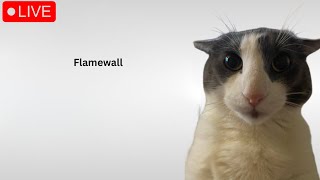 🔴500K SUBSCRIBERS THANK YOU ALL AJDUFASIOD🔴 Flamewall Session lets see if i can do anything 🔴