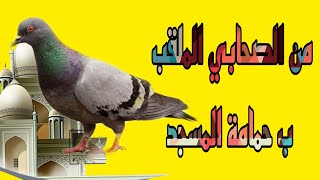 من الصحابي الملقب ب حمامة المسجد ??صحابة حول الرسول القاب صحابة رسول الله صل الله عليه وسلم ????❤❤❤❤