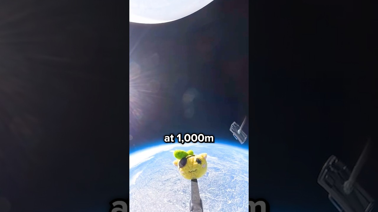 Dropping Plushie 1 Millimeter For Every Follower