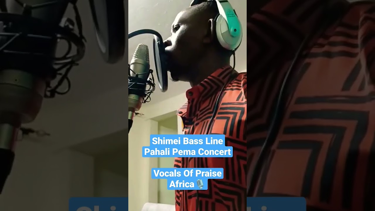 Shimei Bass Line | Pahali Pema Concert Album🔥