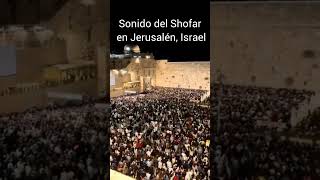 Israel, Jerusalén | Sonido del Shofar en el monte del templo #Paz #israel #shalom #Shofar #jerusalem