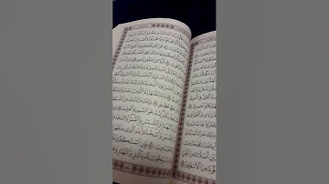 تلاوة خاشعة ما تيسر من سورة فصلت