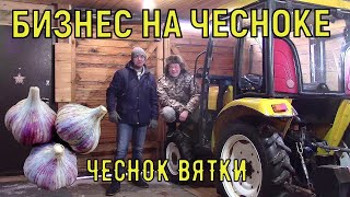 ВЫРАЩИВАНИЕ ЧЕСНОКА - КАК ПРОДАВАТЬ МНОГО И ДОРОГО. БИЗНЕС В ДЕРЕВНЕ