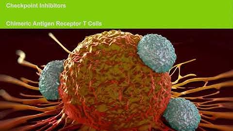 Advancing immuno-oncology discovery and development with flow cytometry