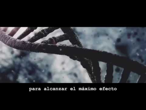 Vídeo: El Chamán Es El Favorito De Los Espíritus - Vista Alternativa