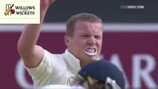 2009 Ashes 5th Test Eng v Aus Highlights