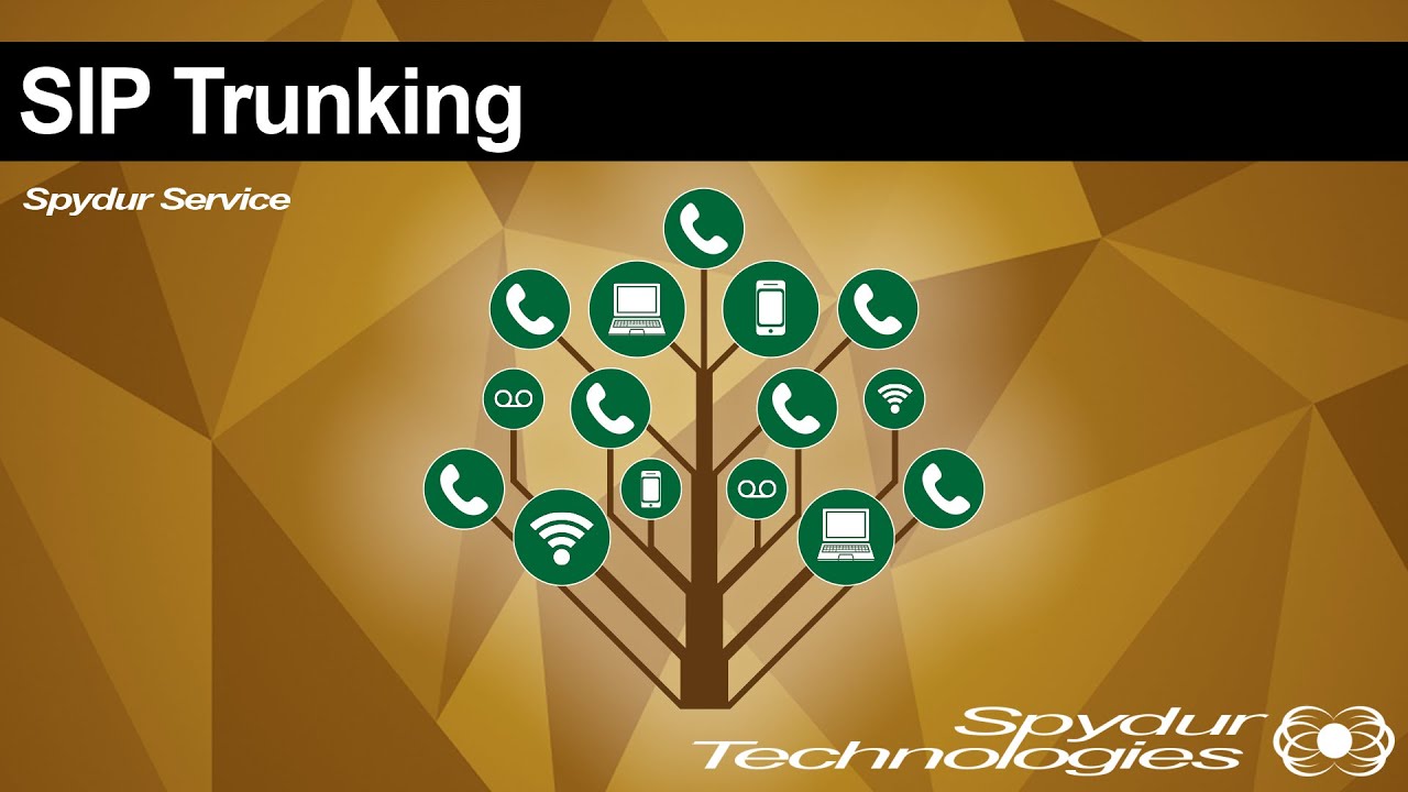 Spydur Service SIP Trunking