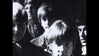 Penny Peeps - Into My Life She Came