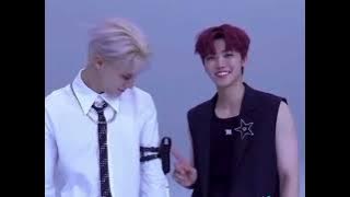 NOMIN MOMENT TIKTOK #nomin #jeno #jaemin