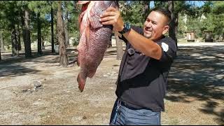 Como hacer un pescado Zarandeado a la estaca el tio yorch