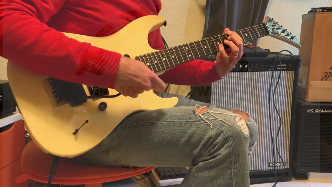 CHARVEL MODEL D 日本製 CHARVEL MODEL D 日本製