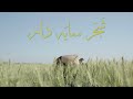 Shajar e saiyadar official music ahmed noman ft mudabbir khan
