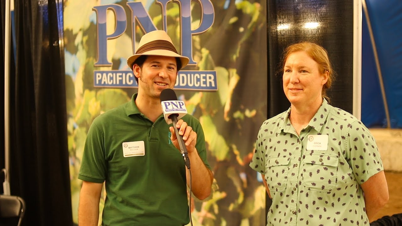 A Few Things to Know Before Planting Hazelnuts in the Northwest