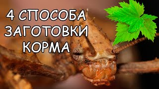 КАК Я ЗАГОТАВЛИВАЮ КОРМ НА ЗИМУ