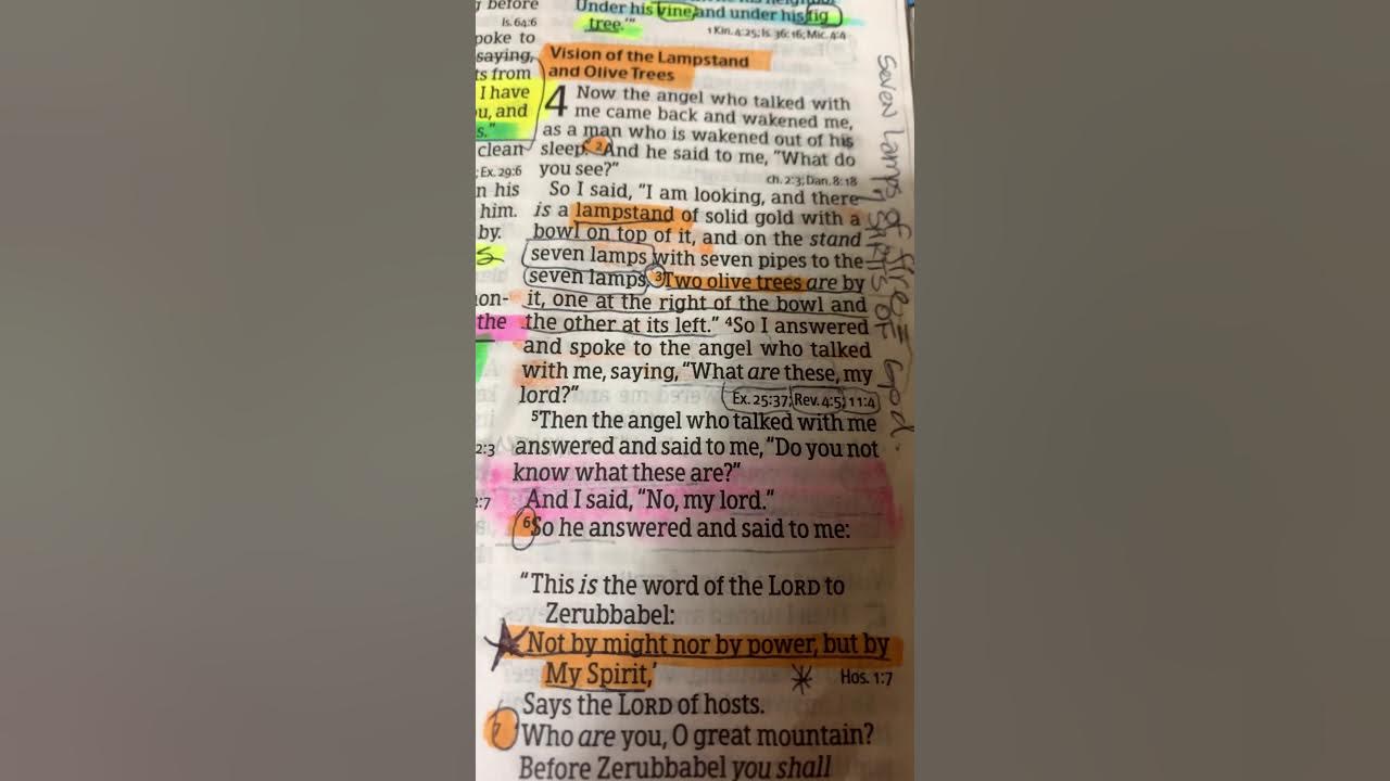 Zechariah 4 Vision of the Lampstand and olive trees . YouTube