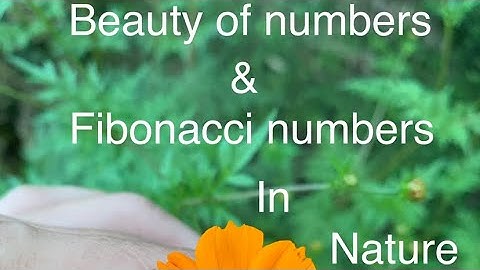 Beauty of numbers and Fibonacci numbers in the flowers