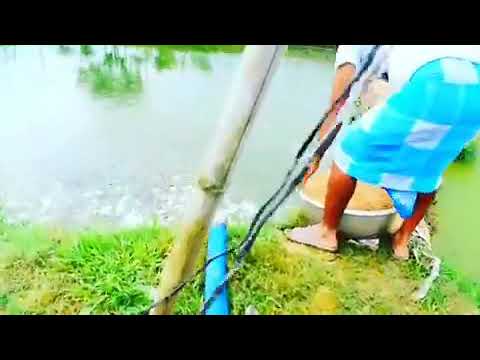 ასეთი რამ არავის უნახავს