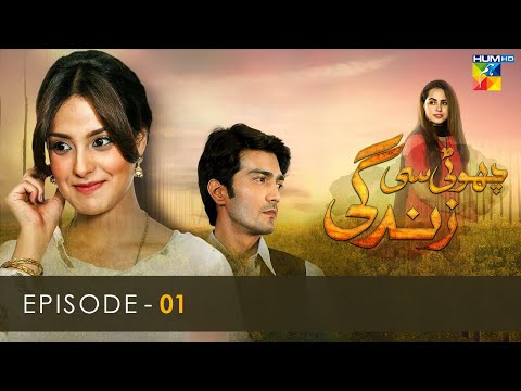 Choti Si Zindagi - 22 — Pakistani drama poster