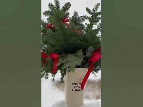#новини#новыйгод#зима# - YouTube
