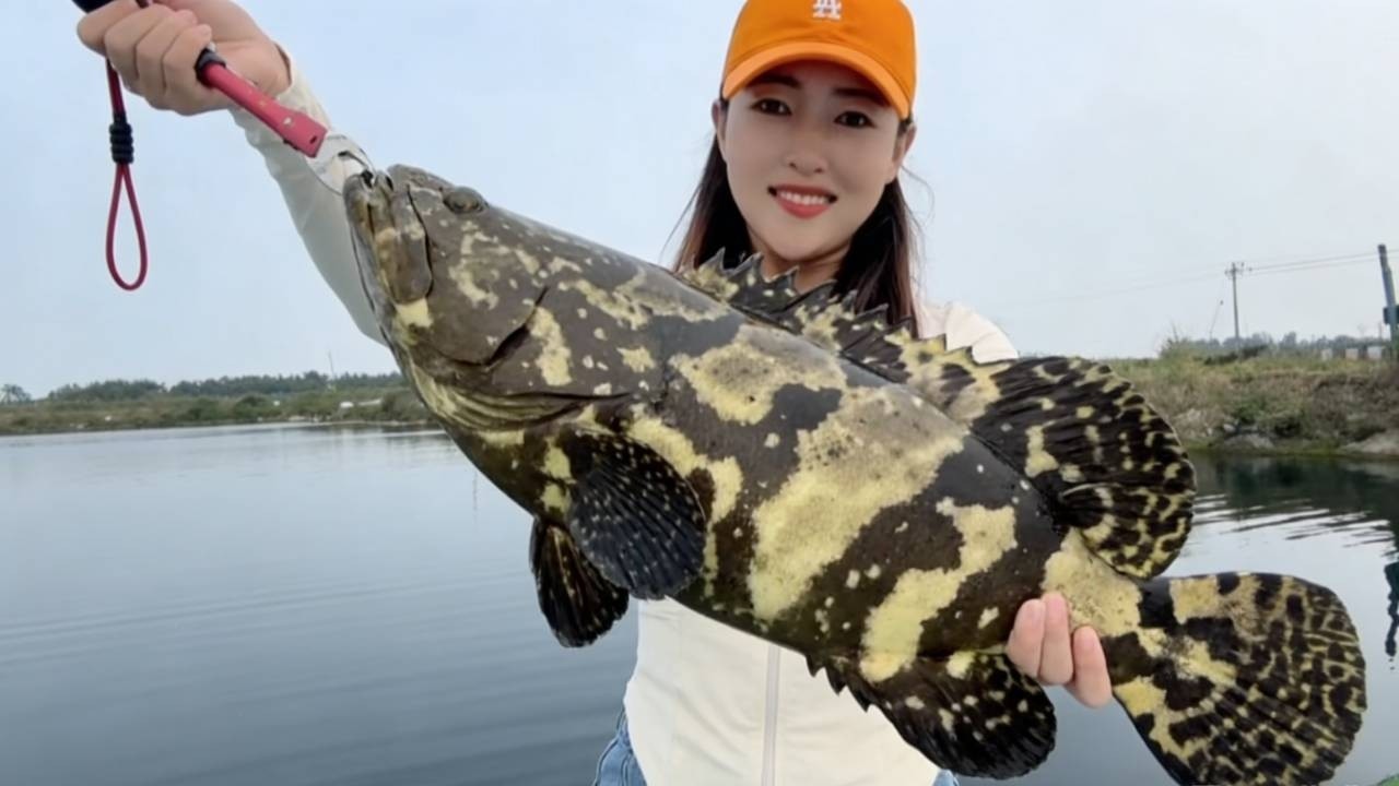 美女釣技封神！ 1 小時 8 條全入戶，老闆當場反悔不讓帶走