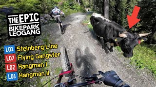 BIKEPARK LEOGANG 2023 alle leichten MTB Strecken | Steinberg Line, Hangman 1 & 2, Flying Gangster