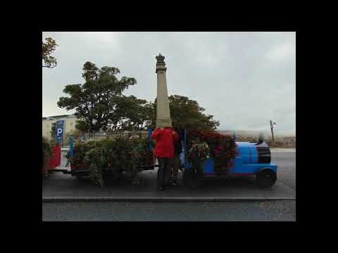 Video: Si Të Mbillni Eustoma Në Dimër - Një Trëndafil Kapriçioz Irlandez