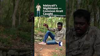 Malayali's Nightmare —Common Krait Caught #commonkrait #snakemaster #vavasuresh