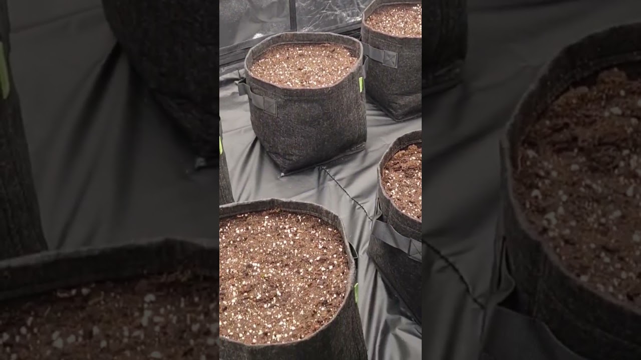 Speed Grow 720w LED - Grow Light